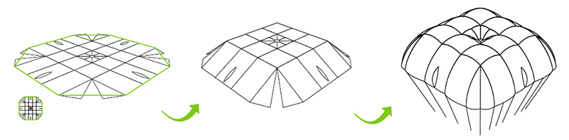 Octagon 2